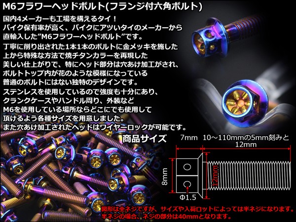 ネコポス可】 M6×40mm フラワーヘッドボルト ステンレス製フランジ付き六角ボルト クランクケースなどのエンジン周りに 焼チタンカラー TB0549