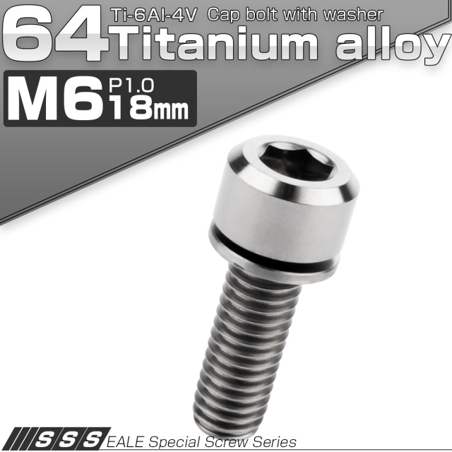 チタンボルト M5×20mm P0.8 ワッシャー付き キャップボルト 六角穴