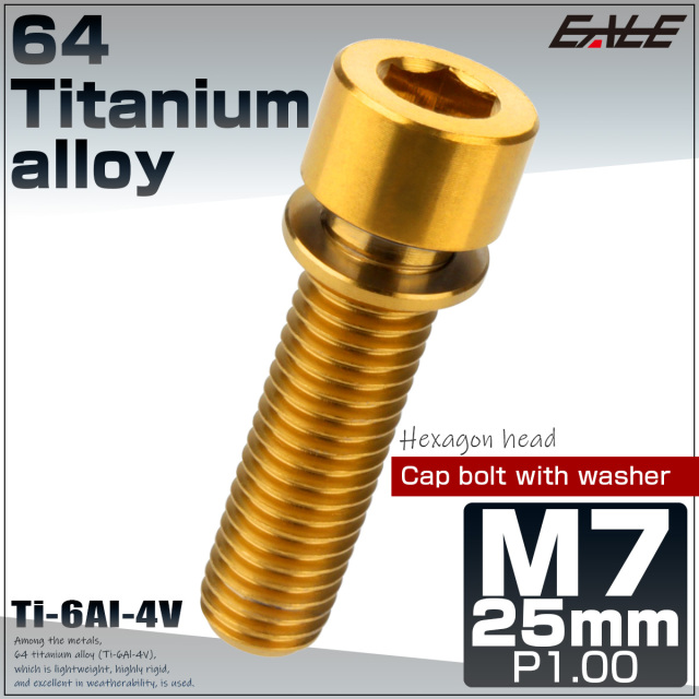 7/15まで値下げ！流経大柏 ヘッドキャップ 64チタン M7×20mm P1.0 ワッシャー付き キャップボルト 六角穴