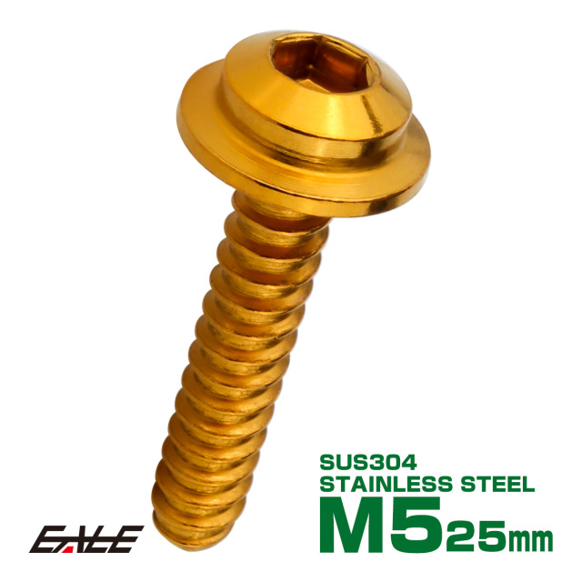 タッピングネジ M5×16mm トラス頭 ステップヘッド ネジ 六角穴